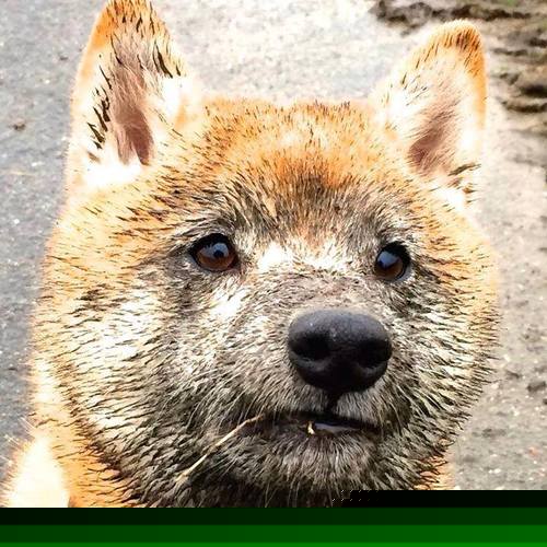 新王当立!西班牙青春风暴冲垮欧洲红魔,帕尔默惊艳四座预示足坛变局